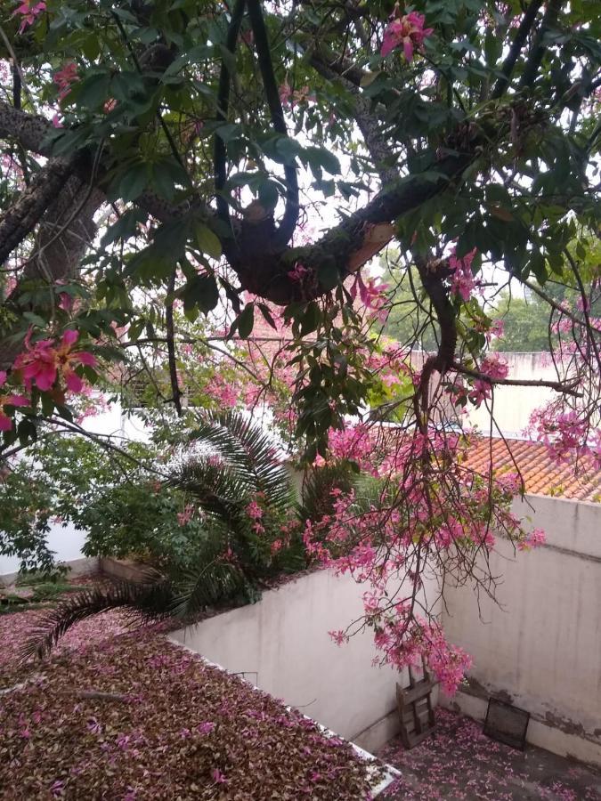 Alem Mendoza Apartment Bagian luar foto